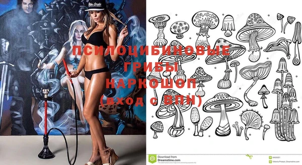 кристаллы Каменка