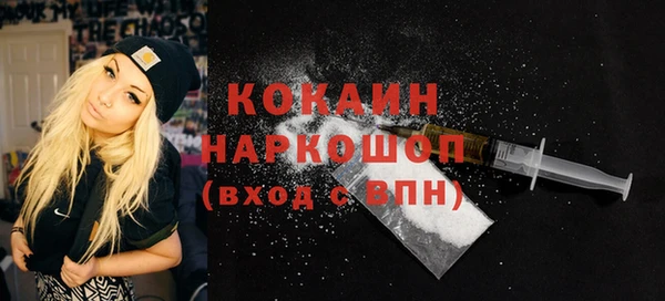 гидра Каменск-Шахтинский