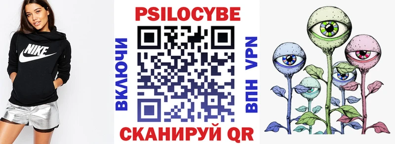 Галлюциногенные грибы MAGIC MUSHROOMS  Купить закладки  Звенигород 